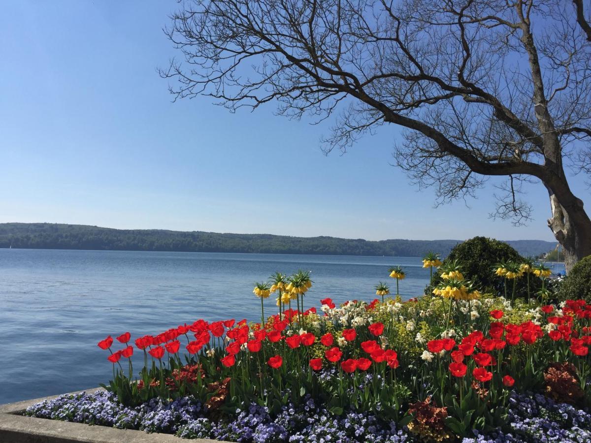 Pension Seliger Meersburg Extérieur photo